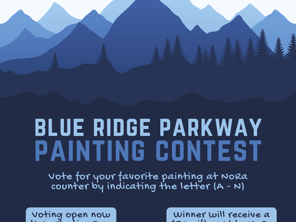 Blue Ridge Parkway painting contest